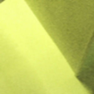 Meet your Posher, Anastasia